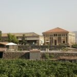 Etna Wine Agriturismo