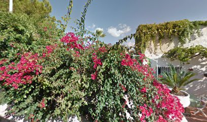 thumbnail-49.jpg