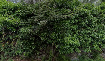 thumbnail-59.jpg